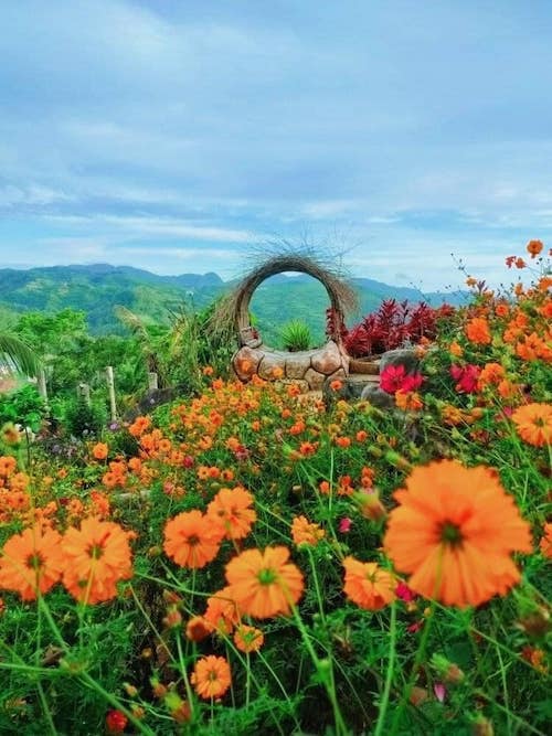 5 Instagrammable flower farms in PH to give you a breath of fresh air